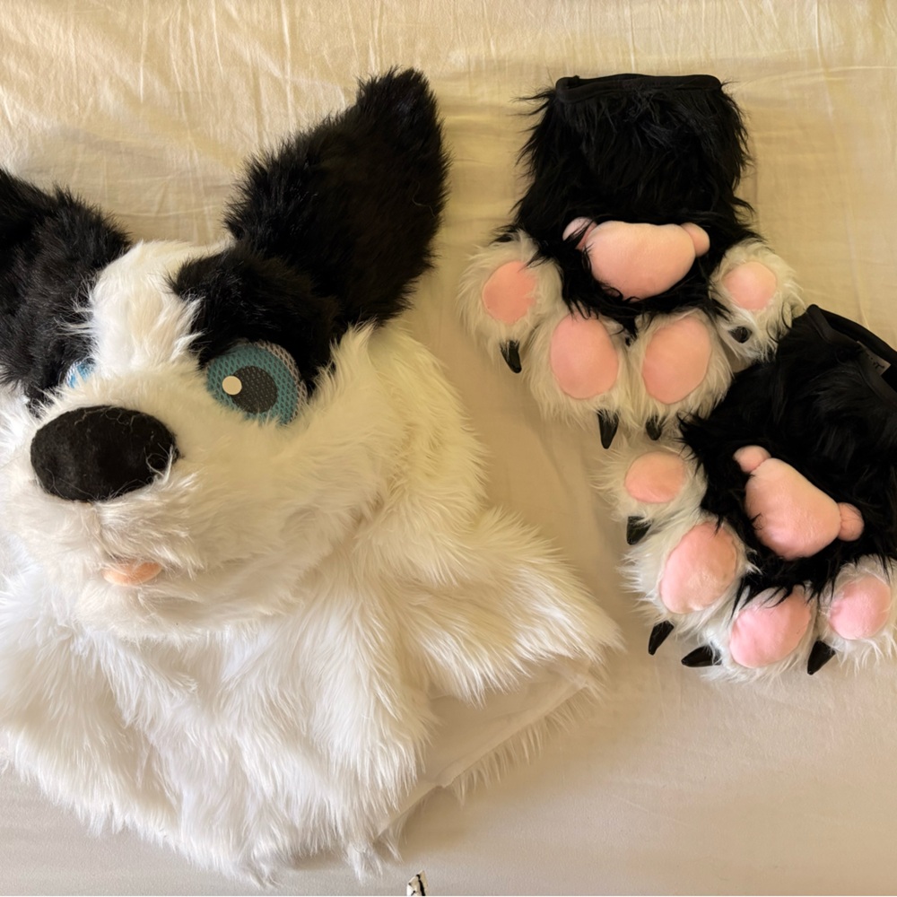 SPIRIT Dog Costume Set
